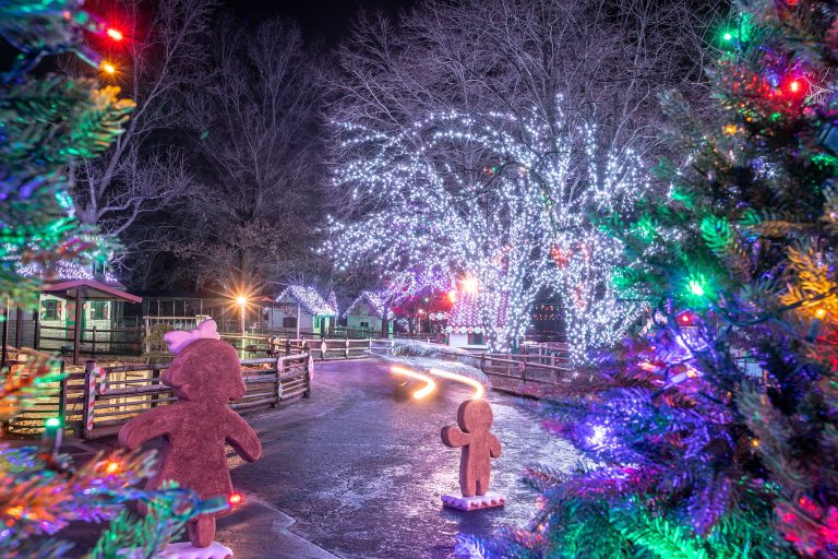 Holiday-Lights_Header